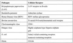 Figure imgf000038_0001