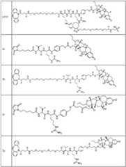 Figure FDA0002889616210000631