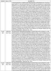 Figure BDA0003627552160002381