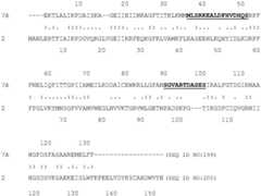 Figure BDA0004113341620000623