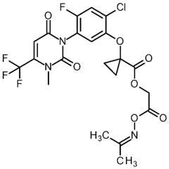 Figure imgf000053_0001