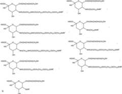 Figure 112009026250918-PCT00126