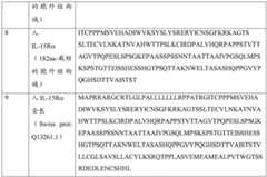 Figure BDA0003999533710000771