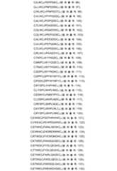 Figure 0007704732000017