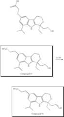 Figure US07446122-20081104-C00128