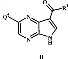 Figure BPA00001207388000081