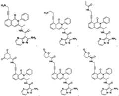 Figure imgf000069_0001