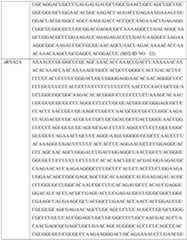 Figure imgf000378_0001