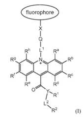 Figure imgf000027_0001