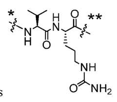Figure imgf000091_0003