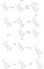 Figure US06248884-20010619-C00017