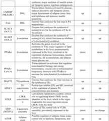 Figure imgf000060_0001