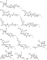 Figure FDA0003746740790000081