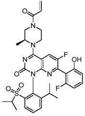 Figure BDA0002861043520001122