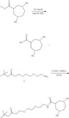 Figure US11912997-20240227-C00209