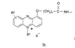 Figure BDA00003376975800053