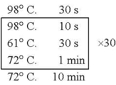 Figure US11618891-20230404-C00007