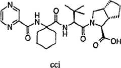 Figure G2009101493490D02561
