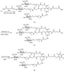 Figure imgf000229_0001