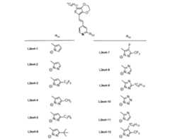 Figure JPOXMLDOC01-appb-C000036