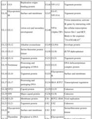 Figure imgf000271_0001