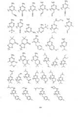 Figure imgf000101_0001
