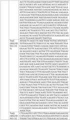 Figure BDA0004033970230006831