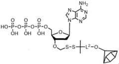 Figure imgf000261_0003