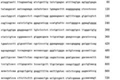 Figure 105140410-A0202-12-0254-70