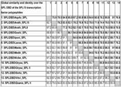 Figure imgf000209_0001