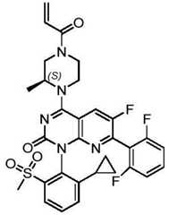Figure BDA0002861043520000772
