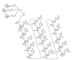 Figure 0007422816000008