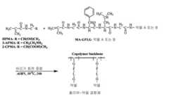 Figure 112012035383784-pct00017