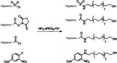 Figure imgf000076_0002