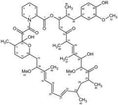 Figure FDA0002631157650000021