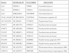 Figure imgf000180_0001