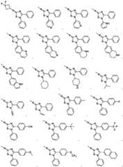 Figure FDA0003361869430000141