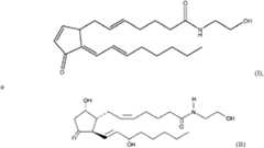 Figure imgf000002_0001