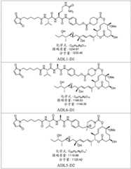 Figure BDA0002808063770002811