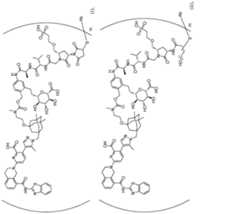 Figure imgf000167_0001
