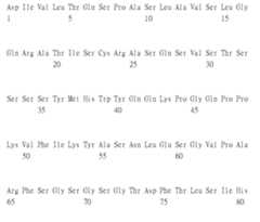 Figure 105135184-A0305-02-0169-71