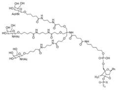 Figure 2023012548000408