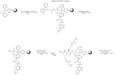 Figure US12122811-20241022-C00001