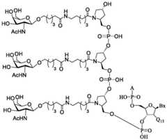 Figure BDA0003357312860002631