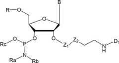 Figure JPOXMLDOC01-appb-C000012