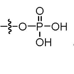 Figure imgf000244_0003