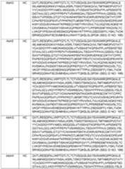 Figure imgf000131_0001