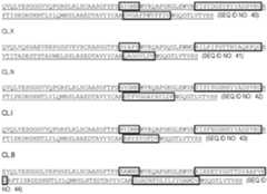 Figure imgf000094_0001