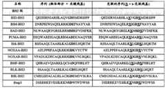 Figure BPA00001373600300161