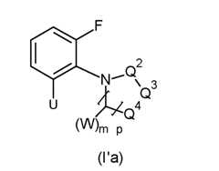 Figure imgf000029_0004